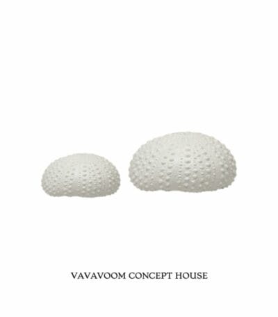 דקו קונכיה
