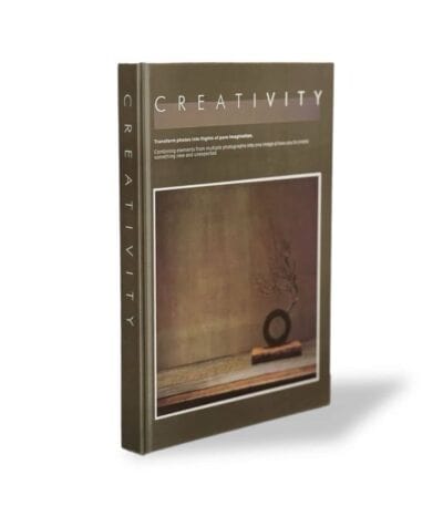 ספר עיצוב CREATIVITY BROWN